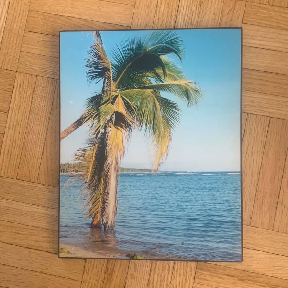 Wood Mount Photograph